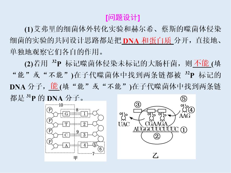 高考生物通用版酷练二轮专题复习课件：专题三 串讲一 遗传的分子基础 第2课时_第3页