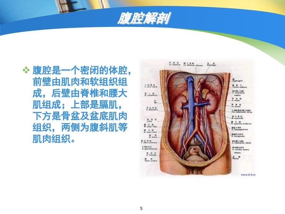 腹腔压力监测课堂PPT_第5页