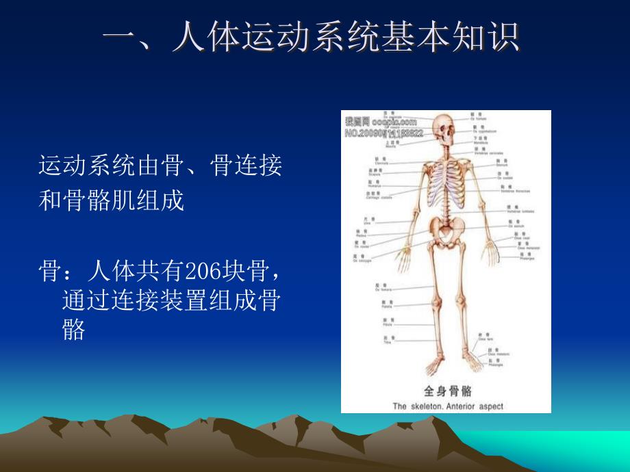 创伤救护培训课件_第4页