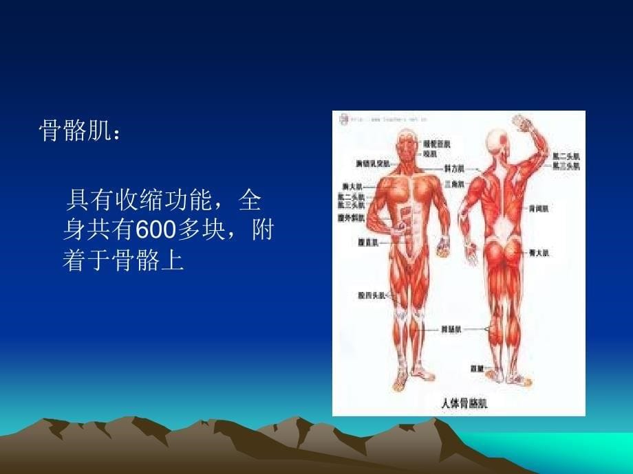 创伤救护培训课件_第5页