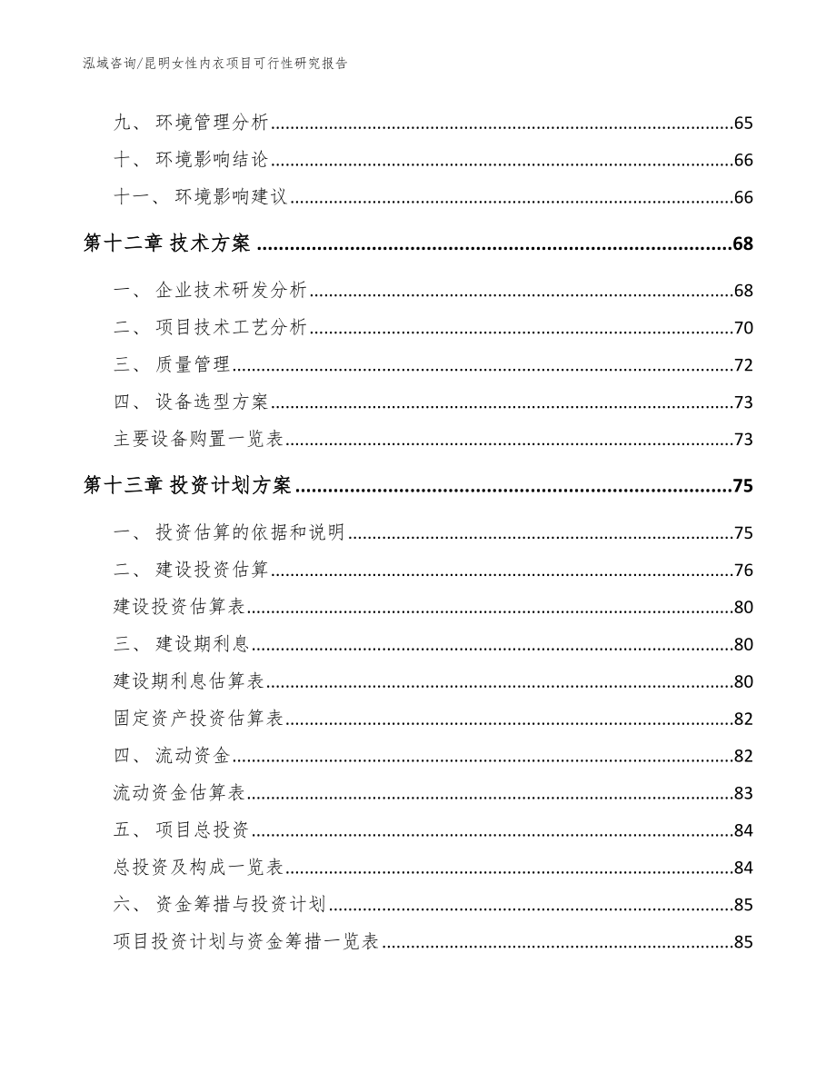 昆明女性内衣项目可行性研究报告_模板范文_第4页