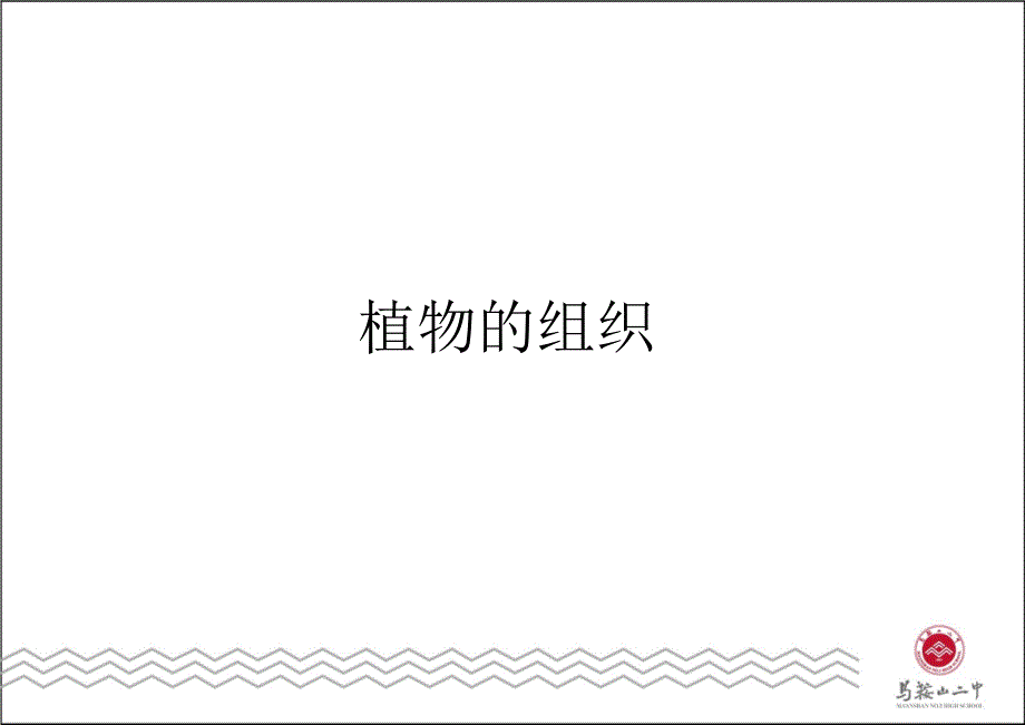 植物组织上课用_第1页