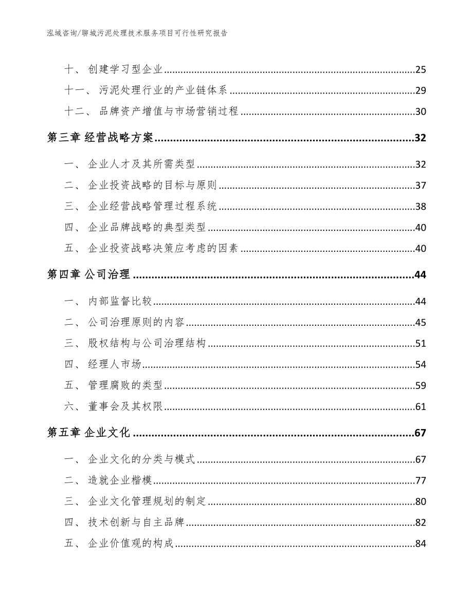 聊城污泥处理技术服务项目可行性研究报告（范文参考）_第2页