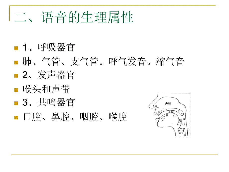 二章语音概说_第2页