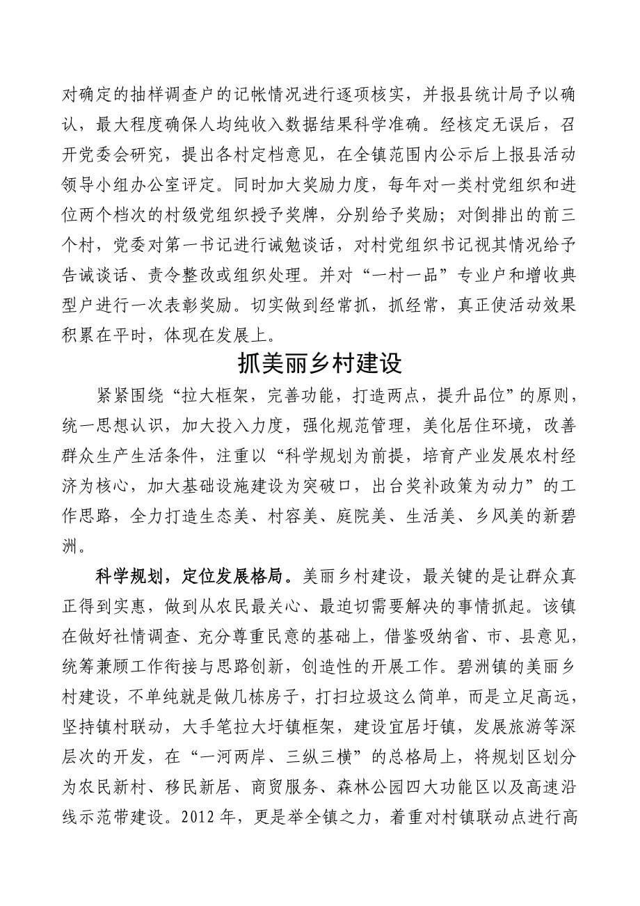 碧洲荣誉的背后.doc_第5页