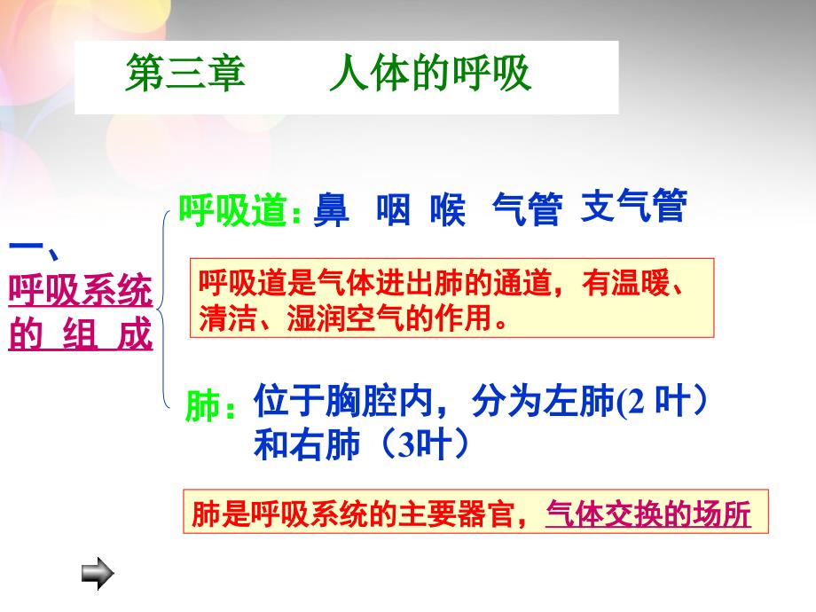 人教初中生物七下第4单元第3章人体的呼吸PPT课件2_第2页