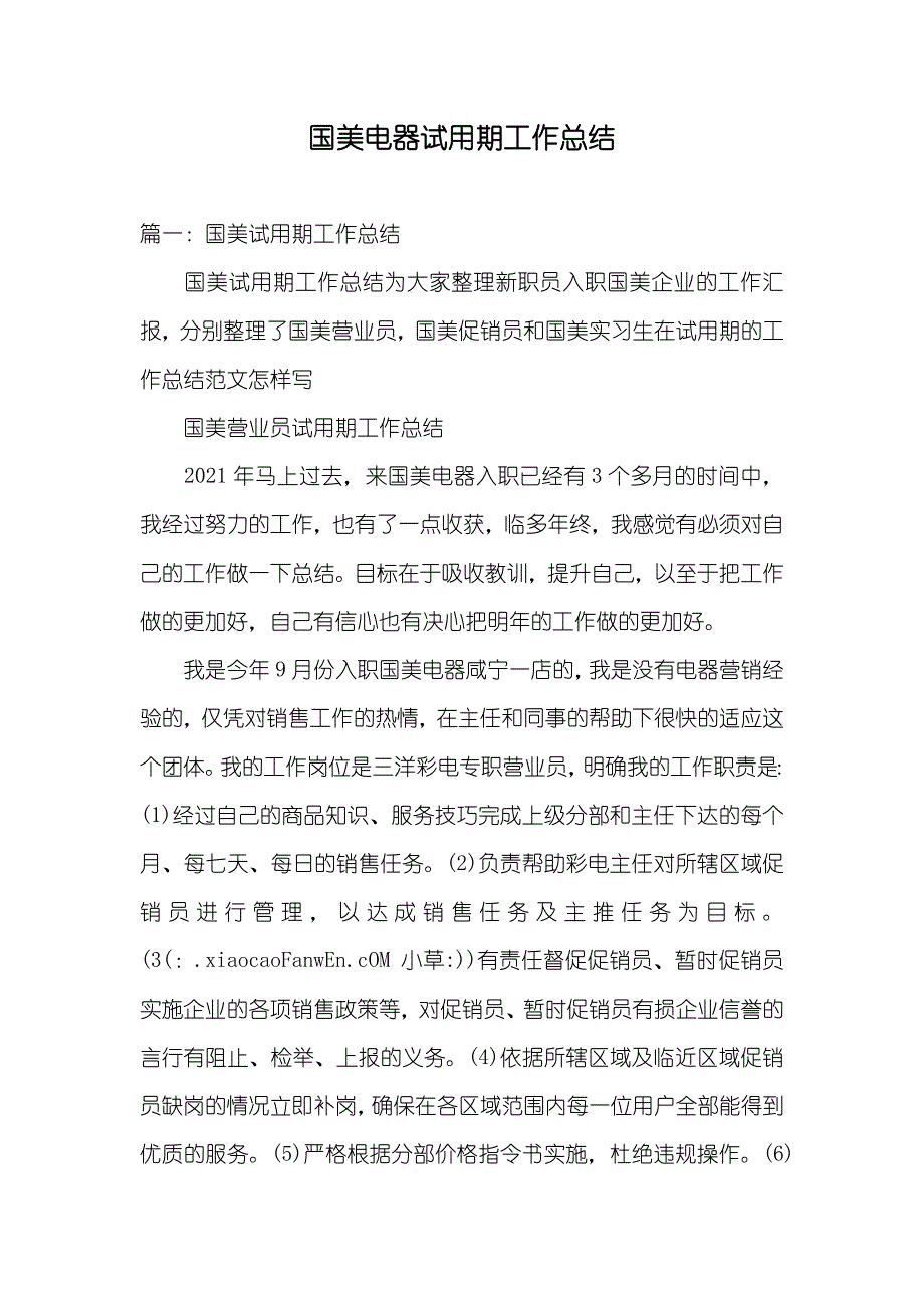 国美电器试用期工作总结_第1页