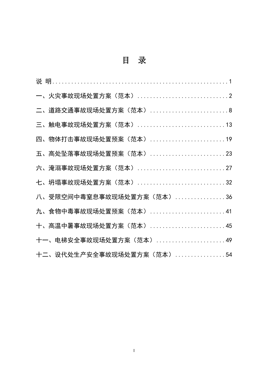 现场处置方案（范本）_第2页