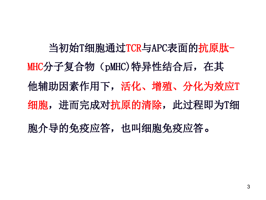 T细胞免疫应答PowerPoint演示文稿_第3页