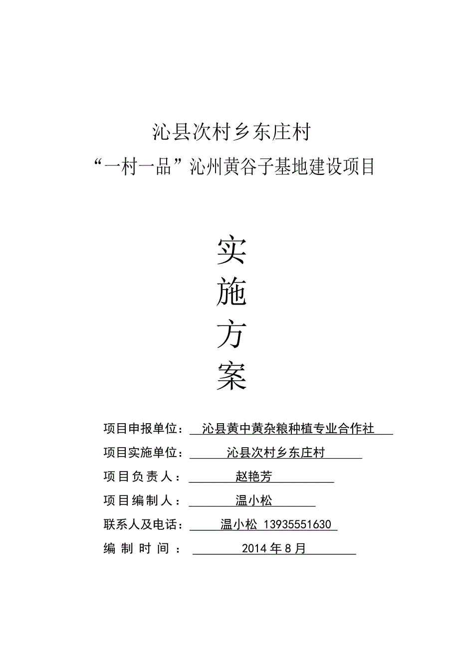 东庄村实施方案.doc_第1页