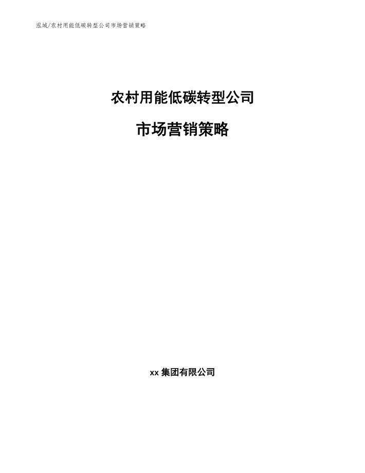 农村用能低碳转型公司市场营销策略_参考