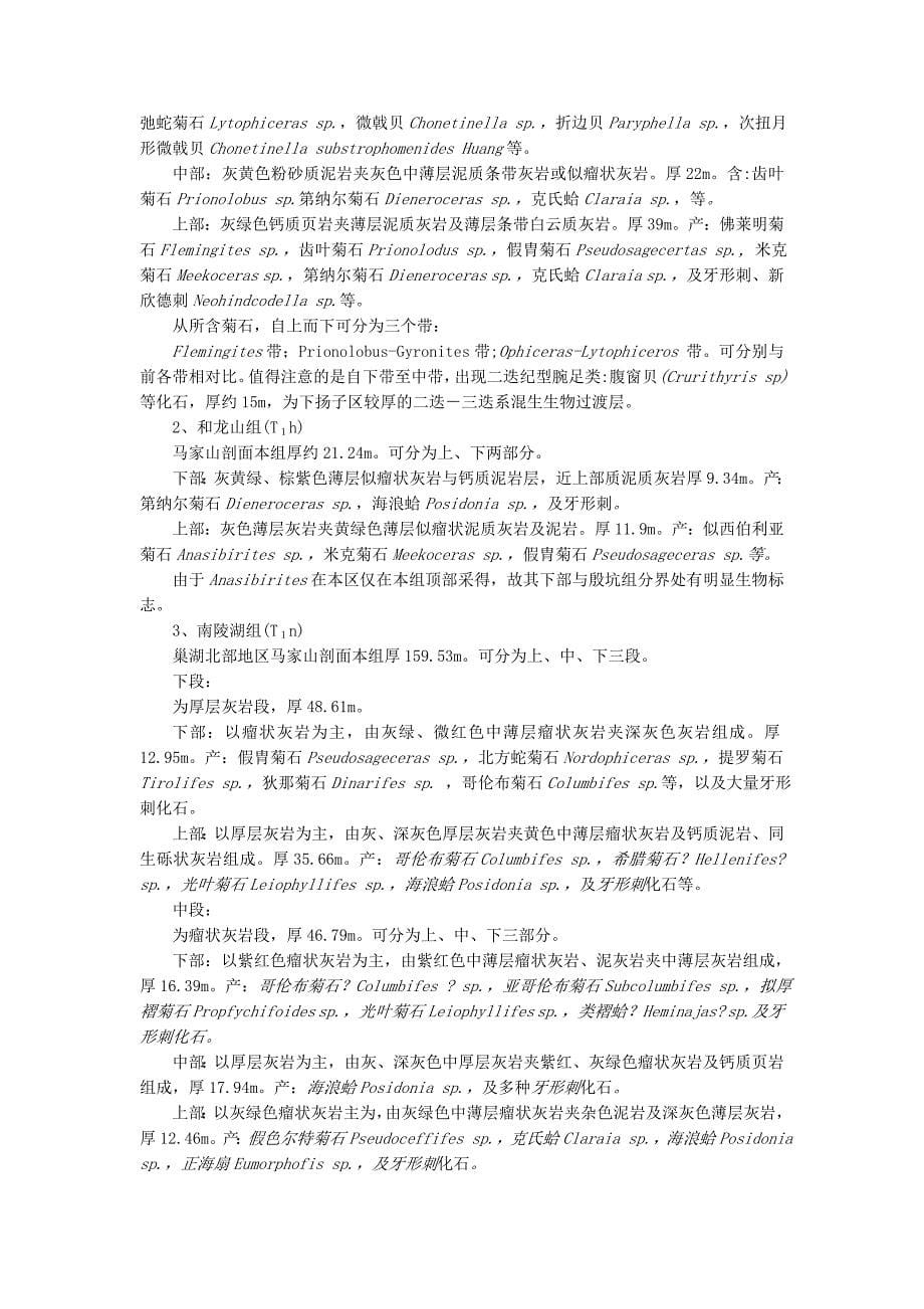 实测剖面说明书D08B.doc_第5页