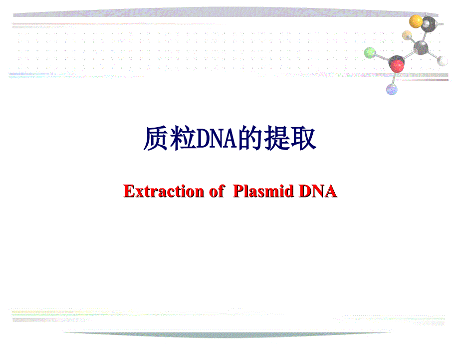 质粒DNA提取原理步骤凝胶电泳分析及其应用_第2页