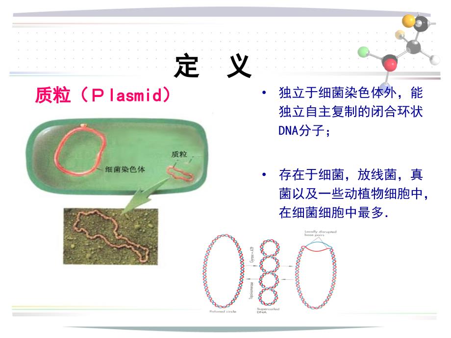 质粒DNA提取原理步骤凝胶电泳分析及其应用_第3页