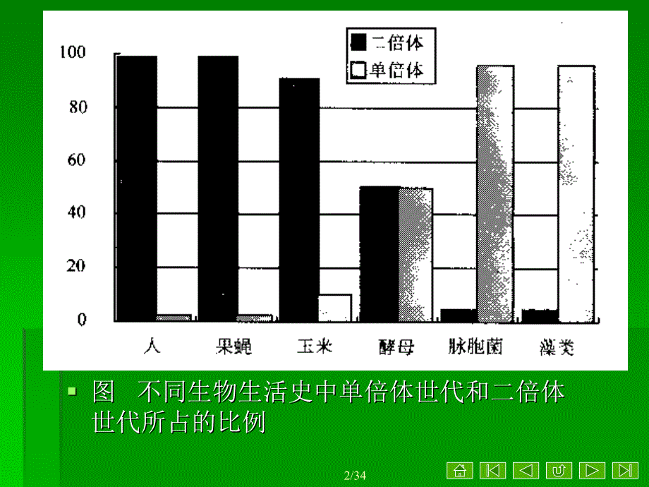 教学课件第三节染色体周史_第2页