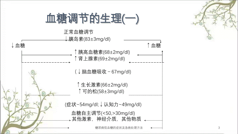 糖尿病低血糖的症状及急救处理方法_第3页