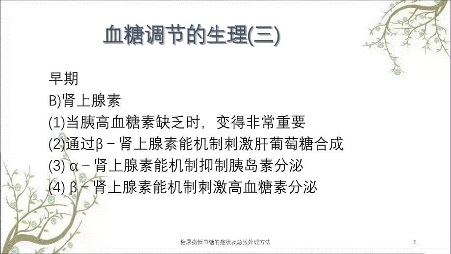 糖尿病低血糖的症状及急救处理方法_第5页