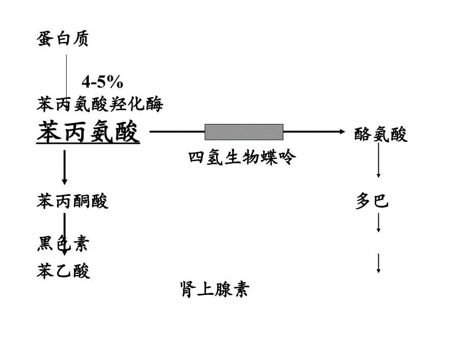 异型苯丙酮尿症的诊断与治疗-处理版课件_第5页