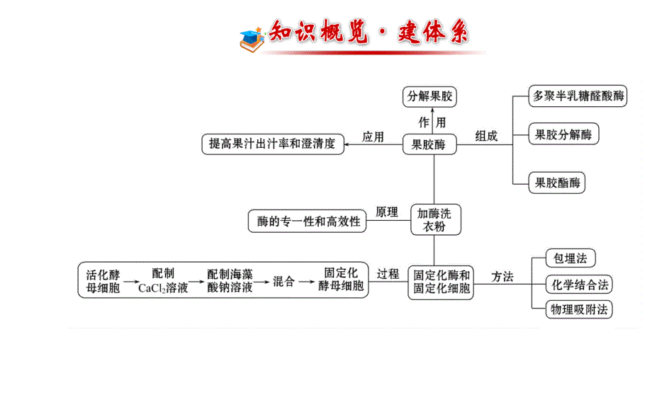 专题3酶的应用通用版选修1课件_第2页