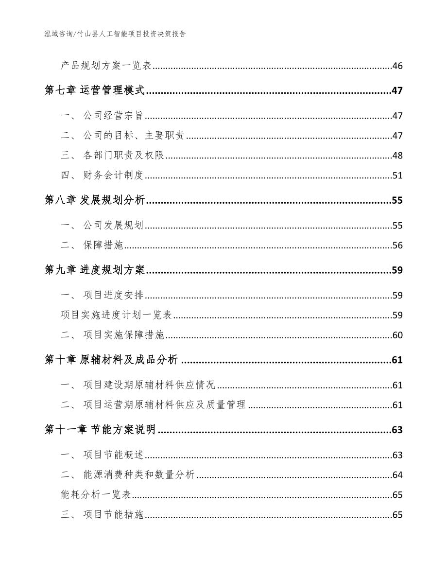 竹山县人工智能项目投资决策报告模板范文_第4页