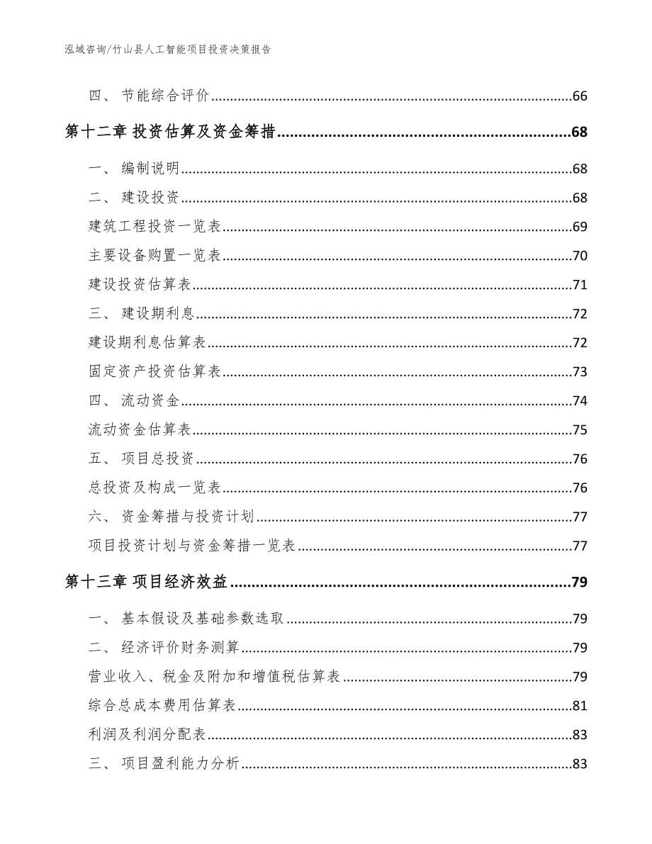 竹山县人工智能项目投资决策报告模板范文_第5页