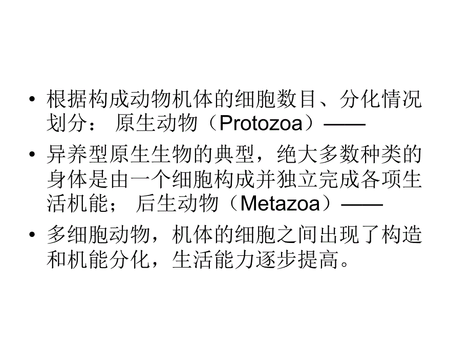 教学课件第三章动物的类群_第3页