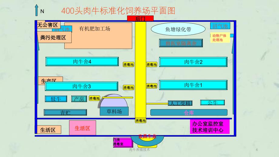 肉牛养殖技术课件_第4页