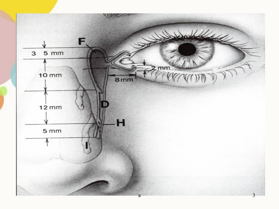 泪器疾病PPT课件_第3页