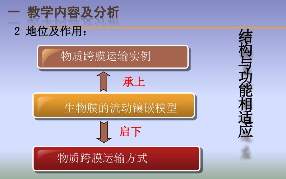 生物膜的流动镶嵌模型_第3页