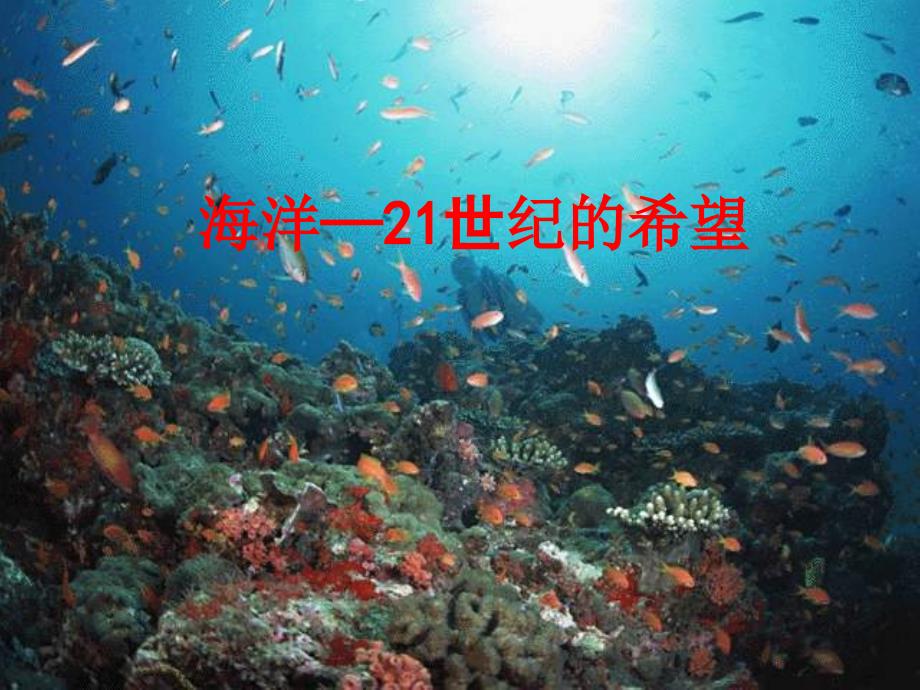 海洋-21世纪的希望课件_第1页