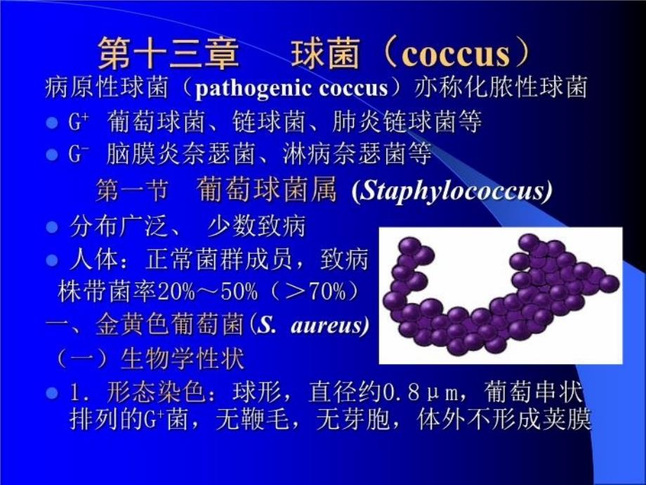 最新医学微生物学七年制大课讲授提纲ppt课件_第3页