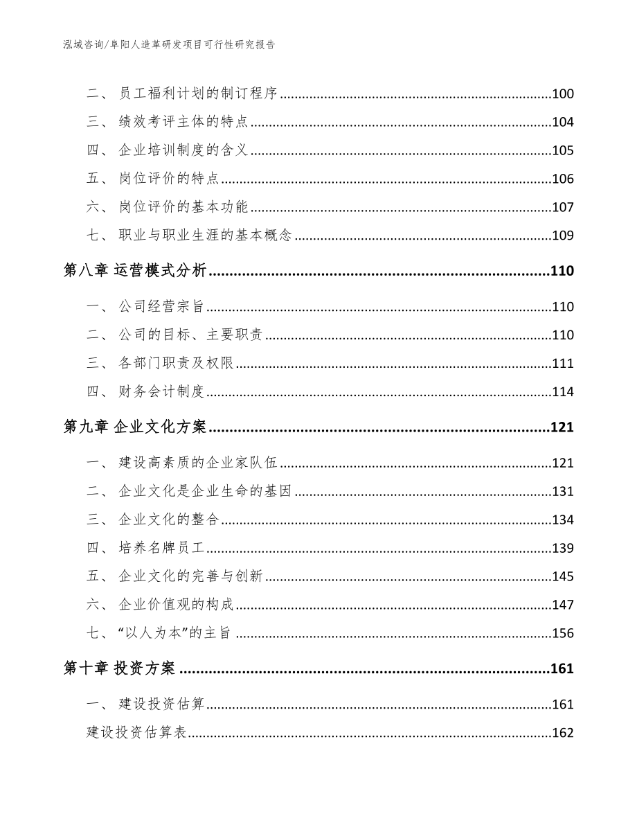 阜阳人造革研发项目可行性研究报告_第3页