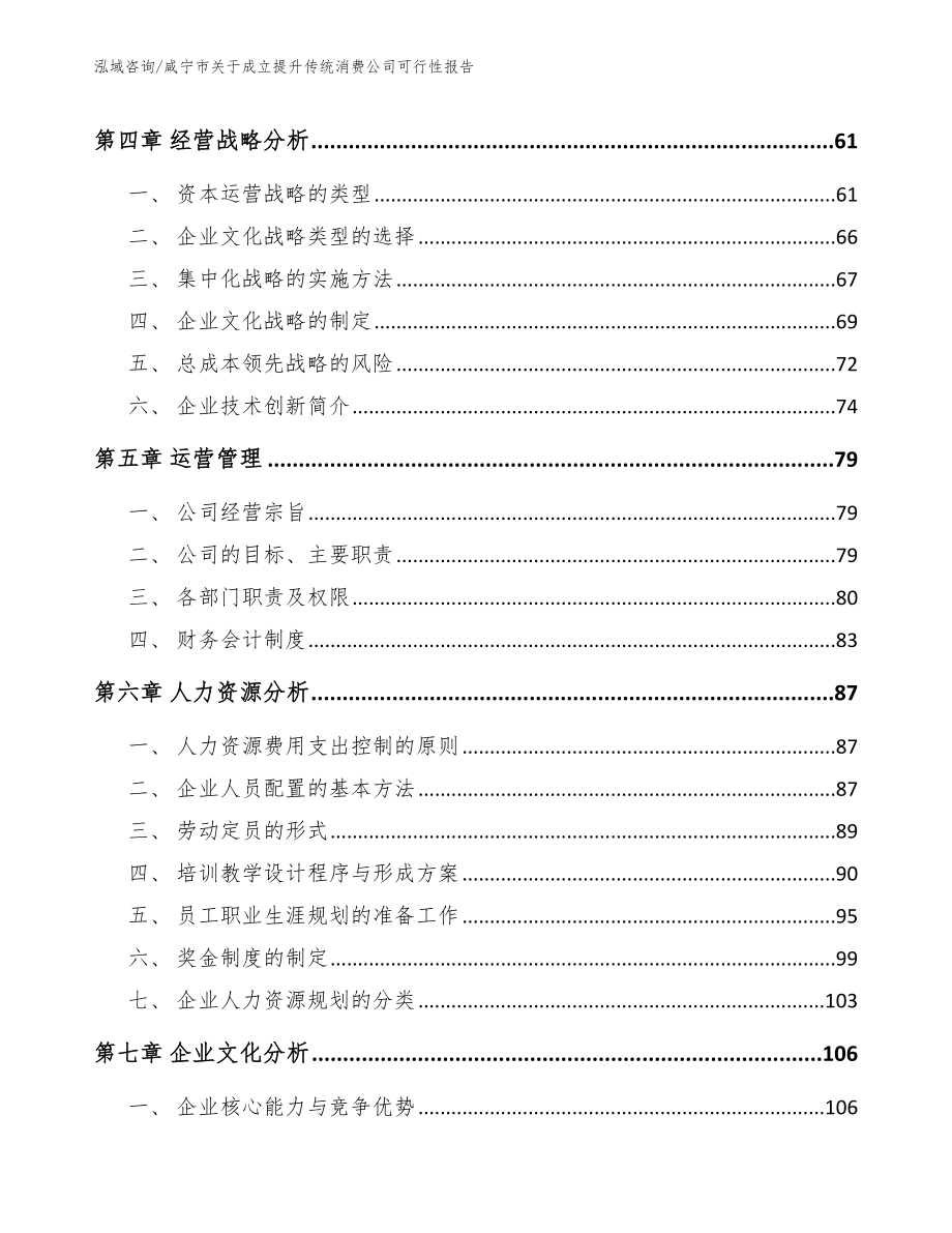 咸宁市关于成立提升传统消费公司可行性报告_模板_第3页