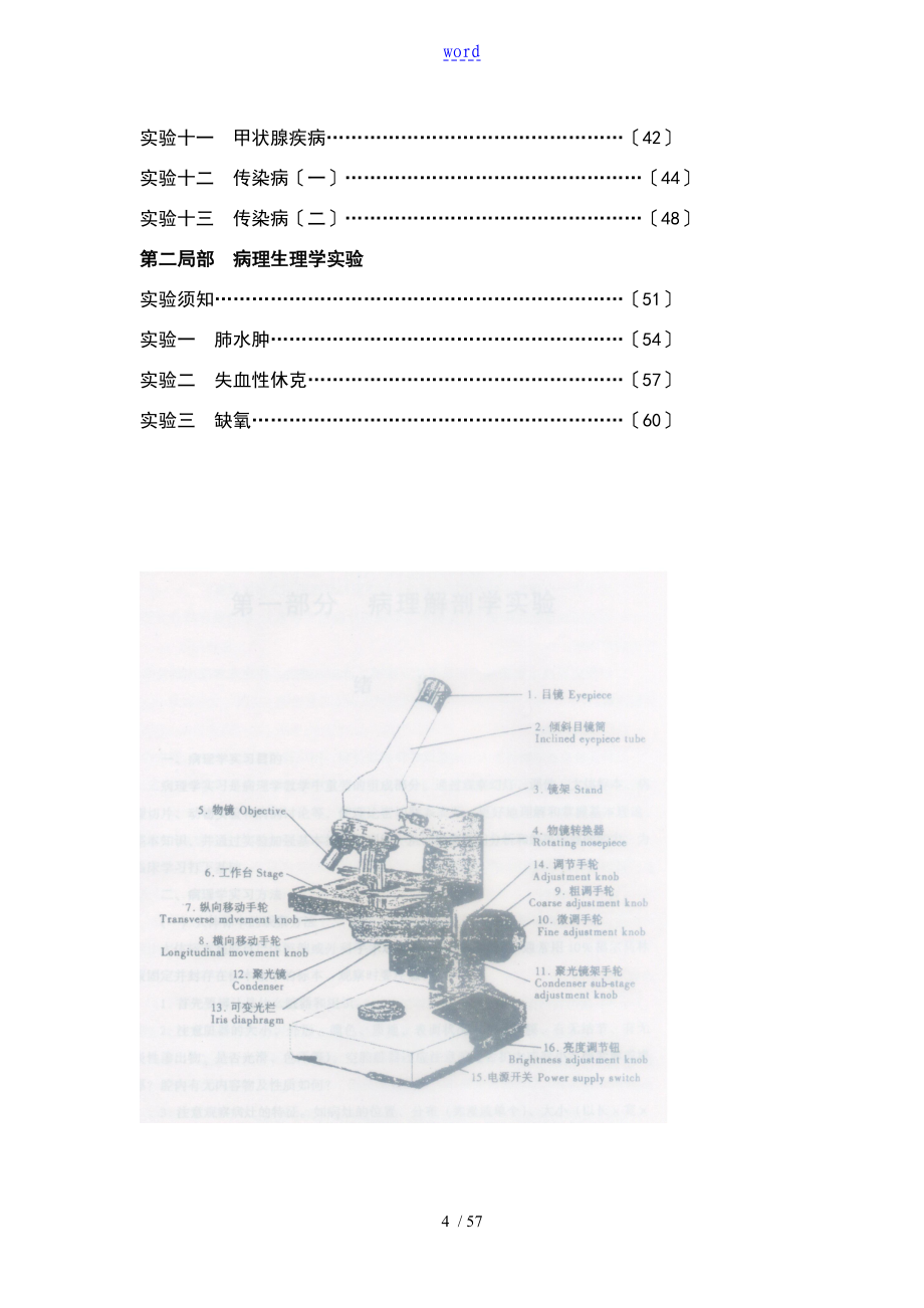 病理学实验指导与报告材料_第4页