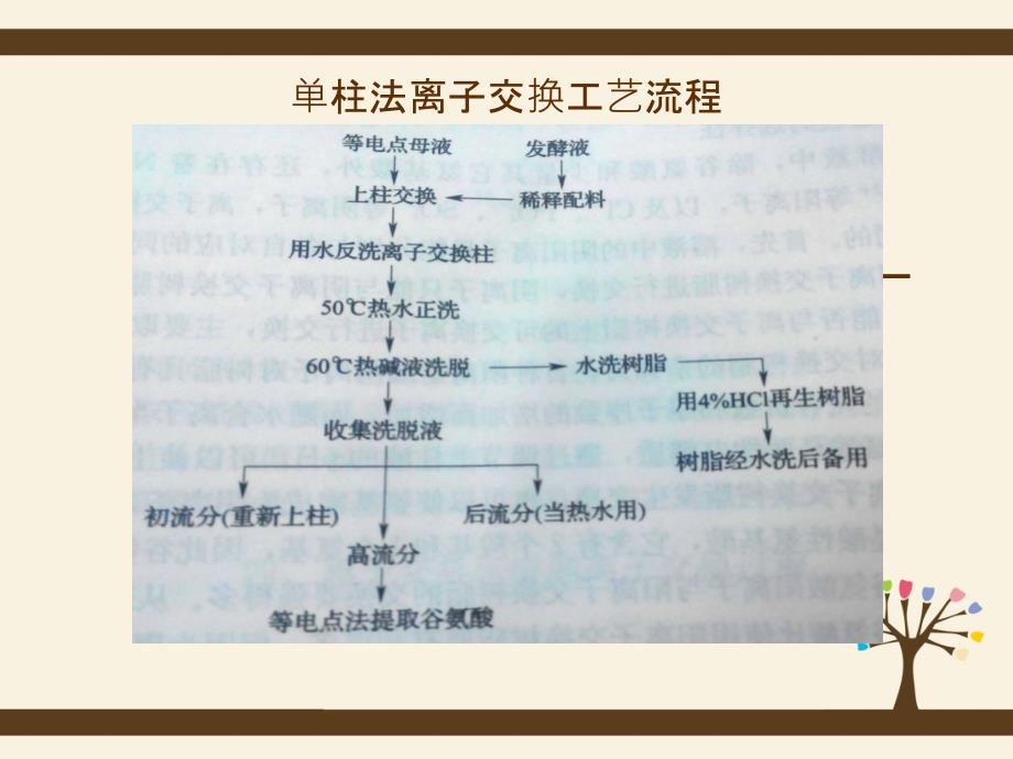 离子交换工艺流程讲解_第4页