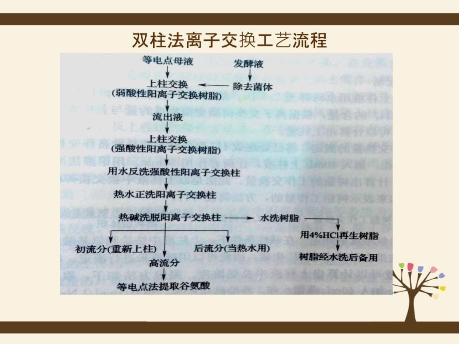 离子交换工艺流程讲解_第5页