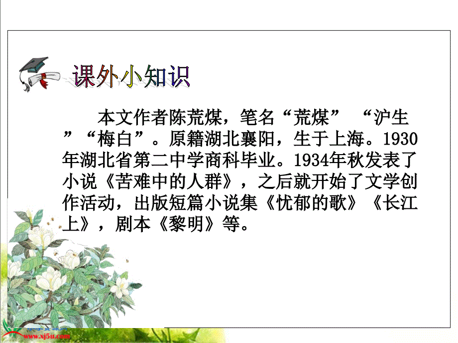 《广玉兰》PPT课件(苏教版六年级语文下册课件)备课讲稿_第4页