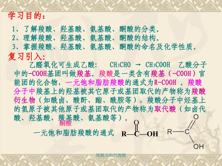 羧酸及取代羧酸课件_第2页