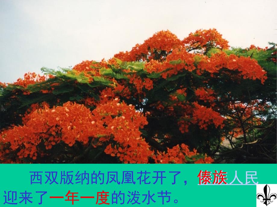 《欢乐的泼水节》_第3页