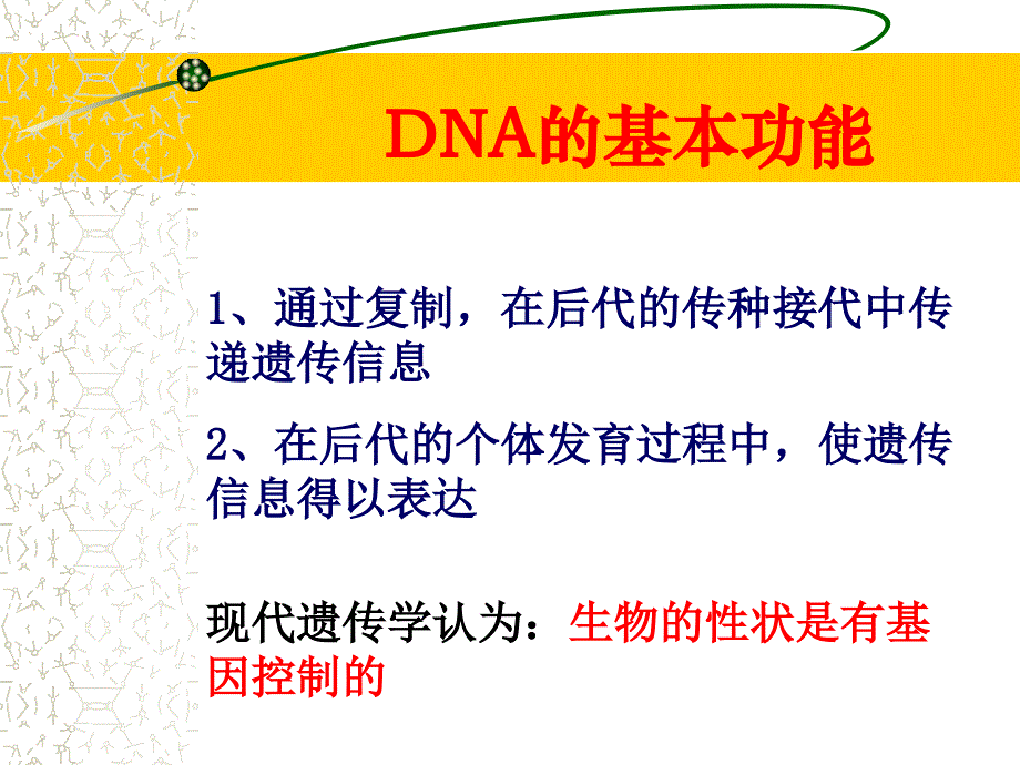 从基因到蛋白质_第3页