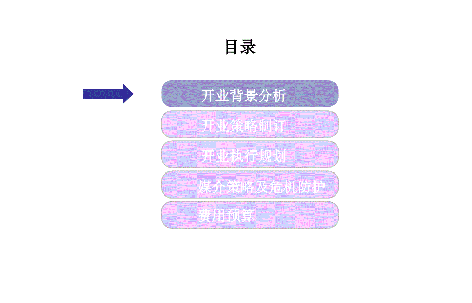 苹果专卖店开业策划_第2页