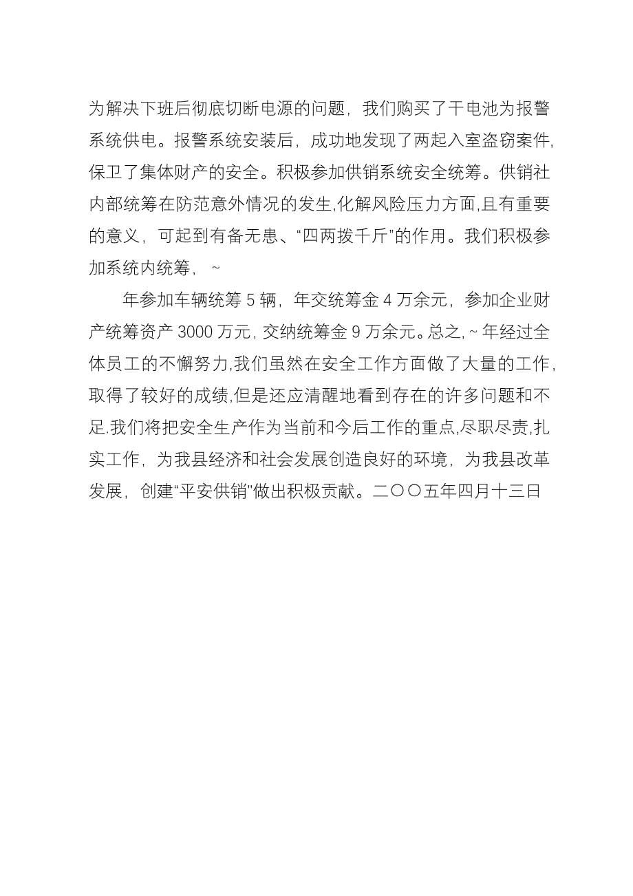 供销大厦安全保卫工作汇报材料.docx_第5页