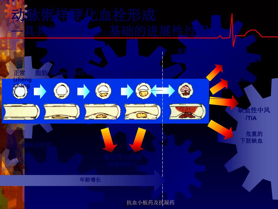 抗血小板药及抗凝药课件_第4页