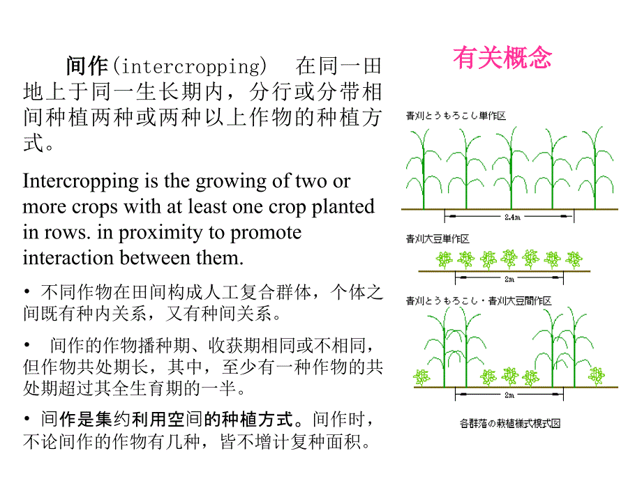 第五章间混套作INTERCROPPING_第5页