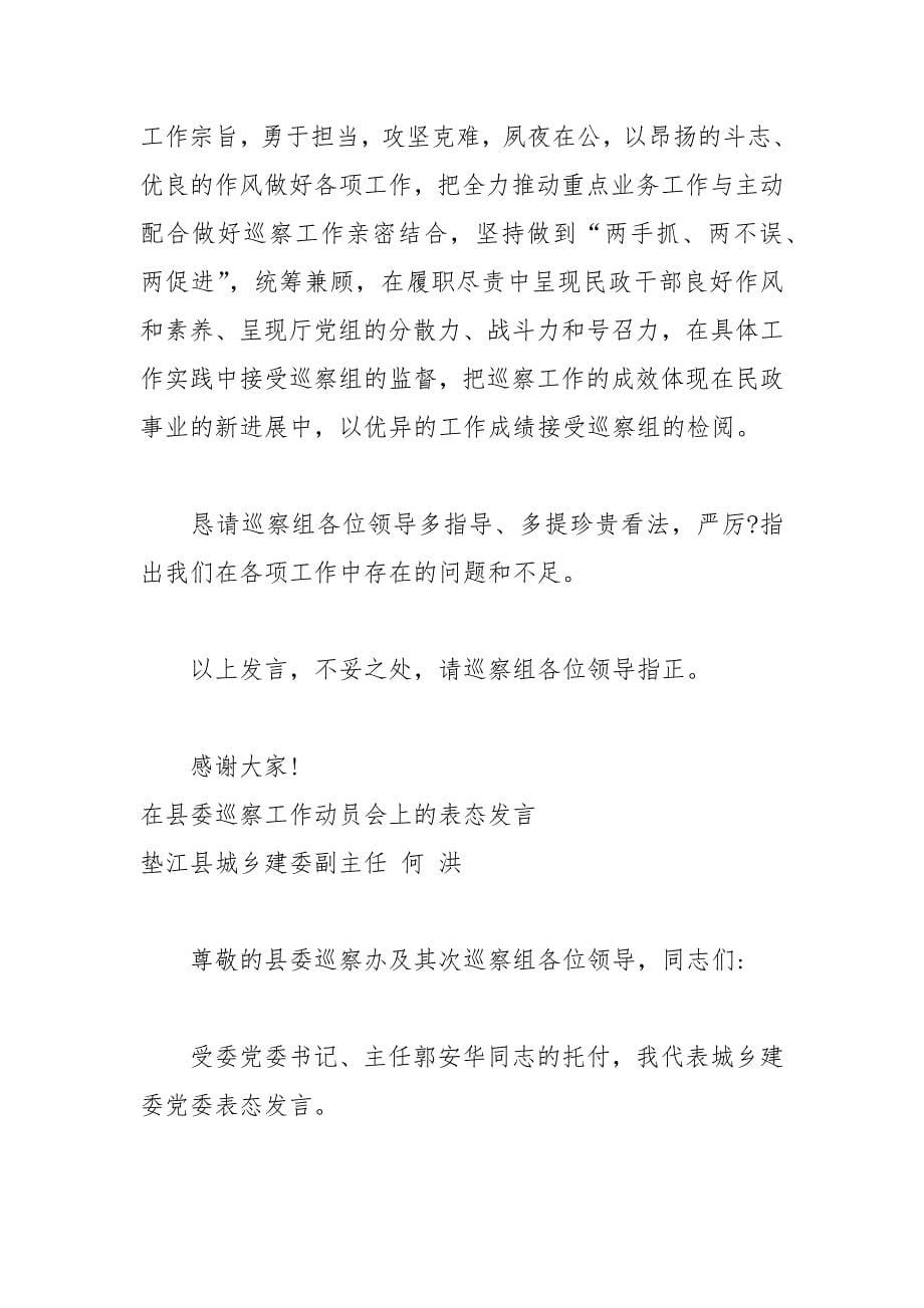 202__年巡视表态发言汇编.docx_第5页