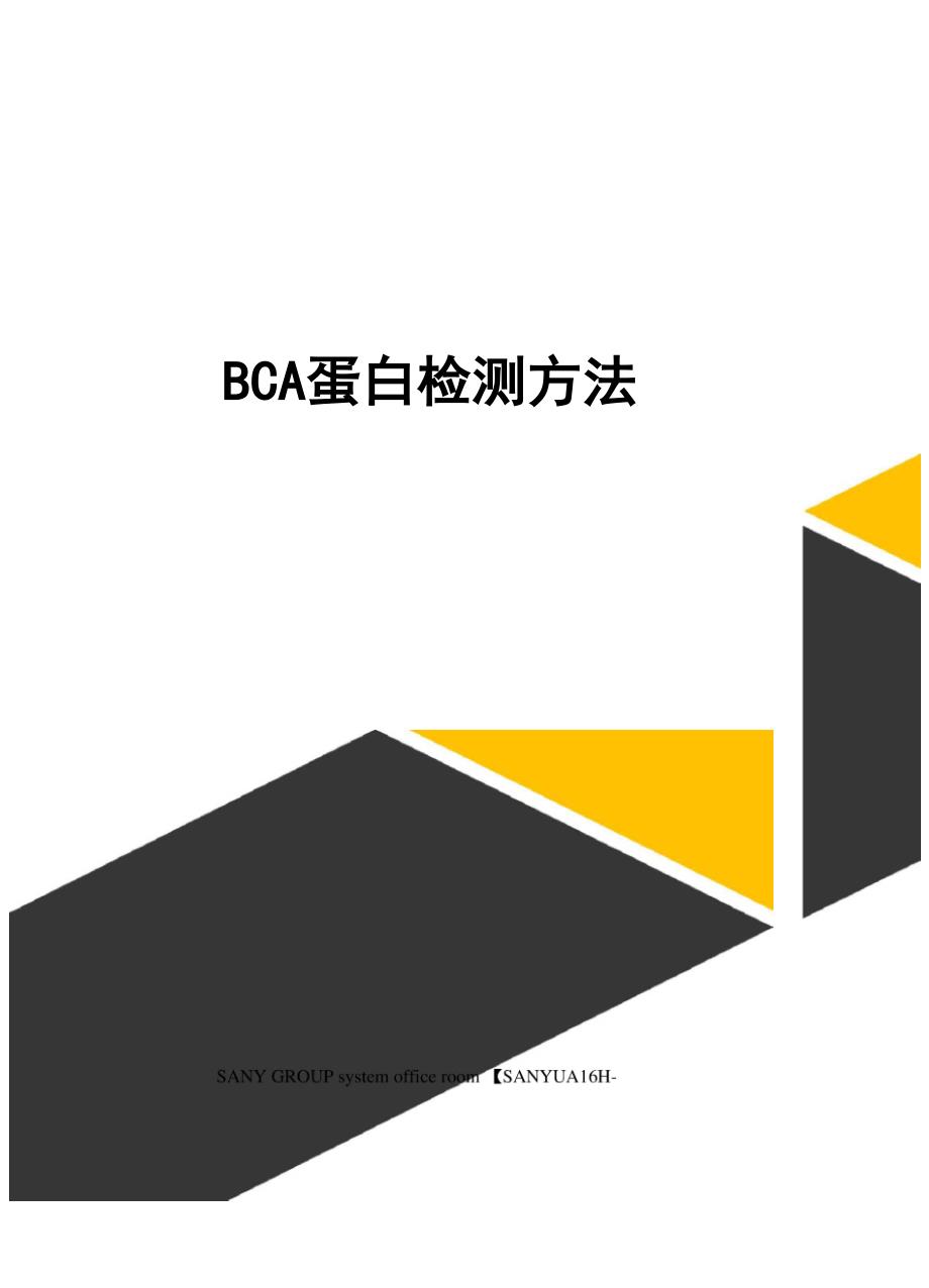 BCA蛋白检测方法_第1页
