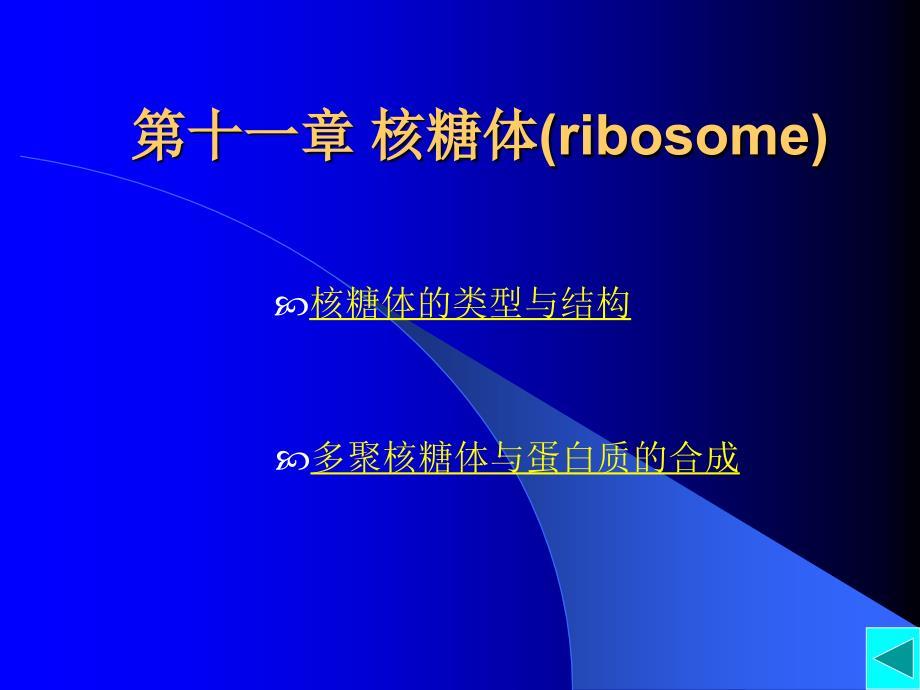第十一章核糖体ribosome