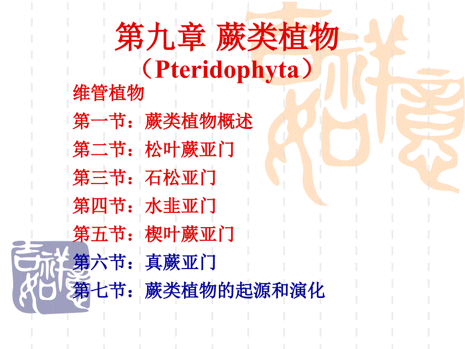 植物学教学课件：第九章 蕨类植物（Pteridophyta）1_第1页