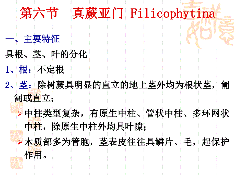 植物学教学课件：第九章 蕨类植物（Pteridophyta）1_第2页