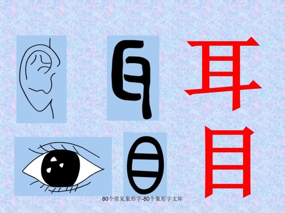 80个常见象形字-80个象形字文库_第5页